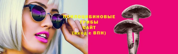 прущая мука Арсеньев