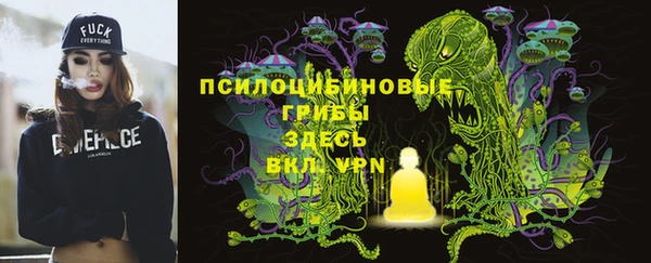 прущая мука Арсеньев