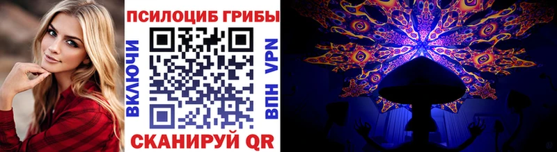 Псилоцибиновые грибы прущие грибы  закладка  гидра как зайти  Николаевск-на-Амуре 